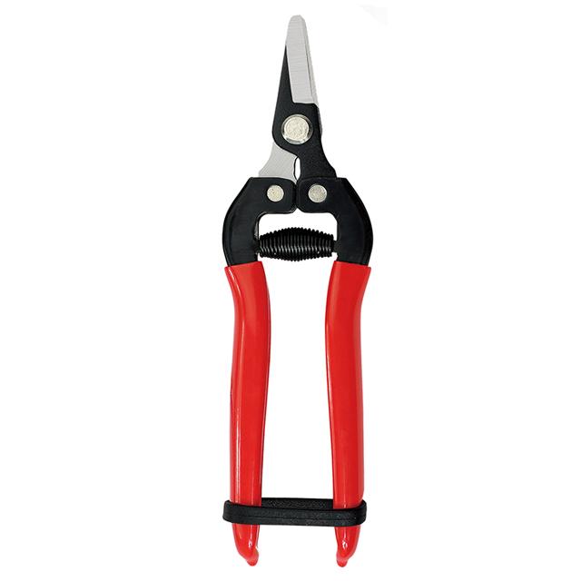 Thin fruit scissors SS405 curved